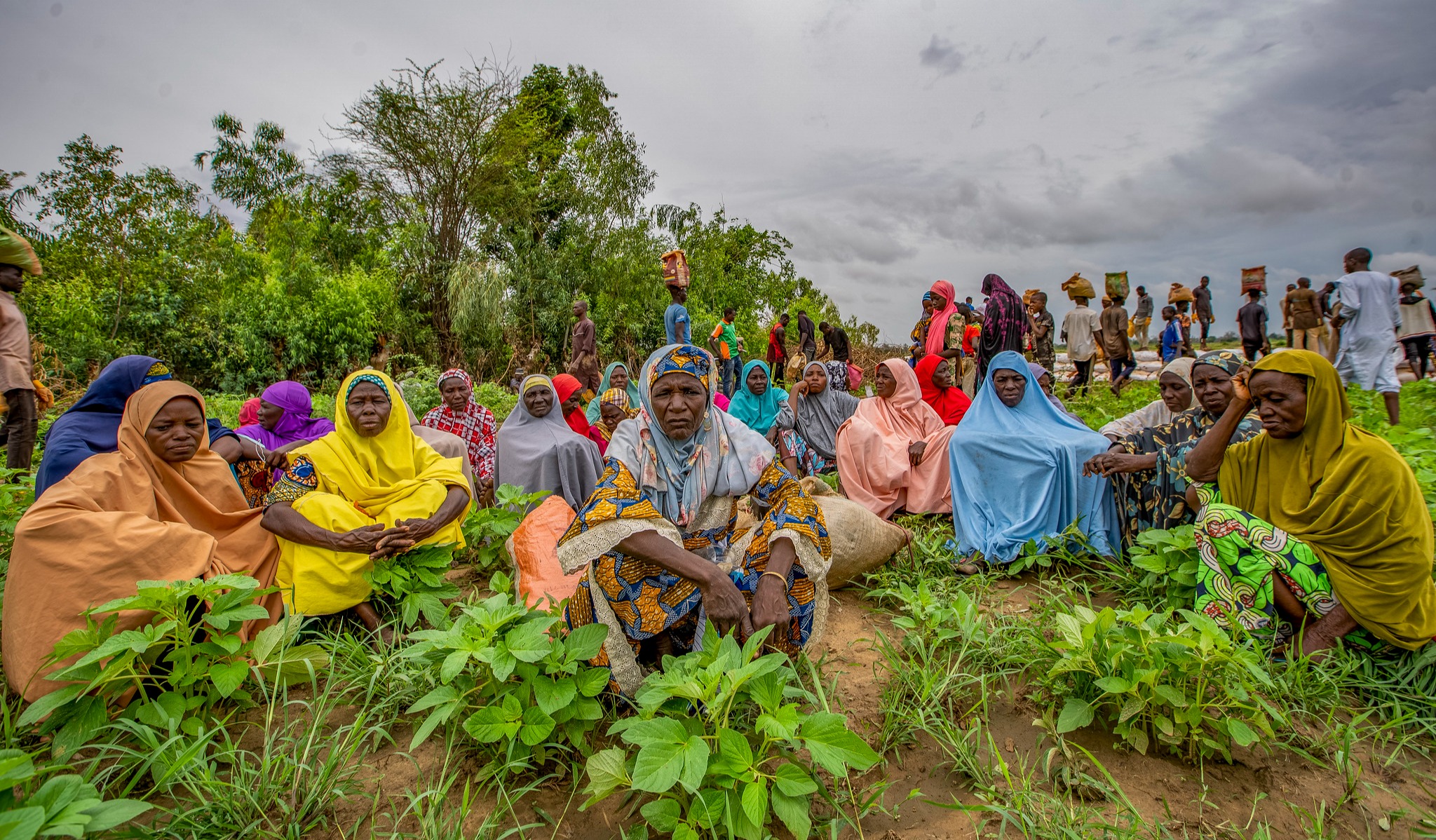 Food, Nutrition & Education Security programme in the field